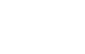 :  20092010